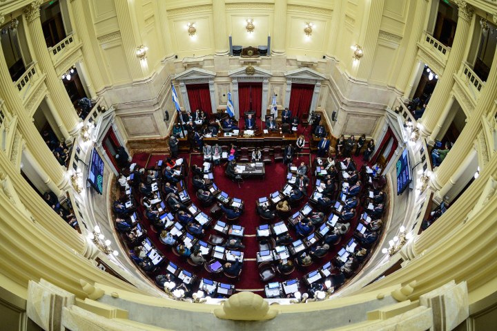 SENADO - SESION IVE
