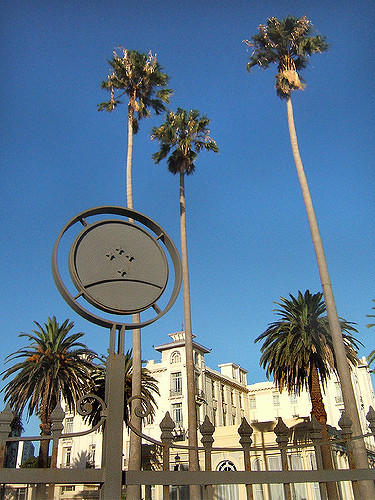 390651819_30b40ceba0_z