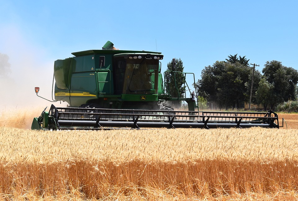 harvest-1907821_960_720