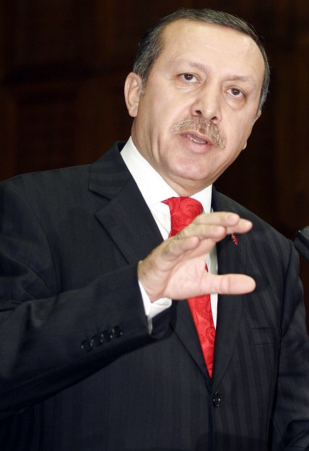 recep-tayyip-erdogan-2402266_640