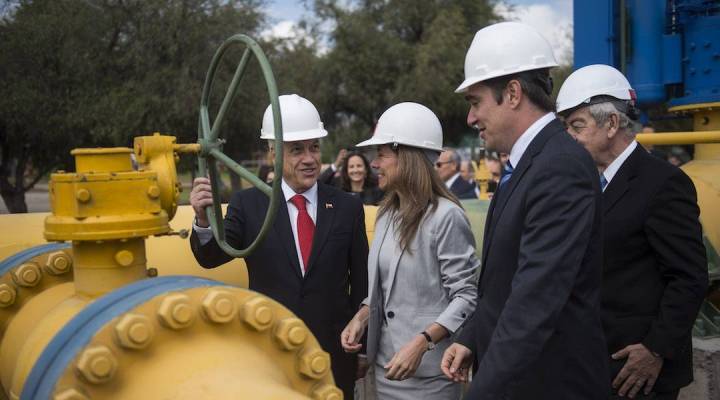 _srq1751.jpg__1440x2000_q70_subsampling-2