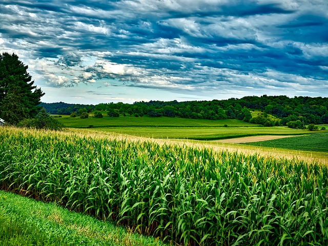 wisconsin-1808154_640
