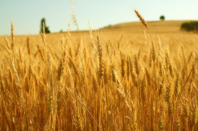 2115619575_a5d608e301_z