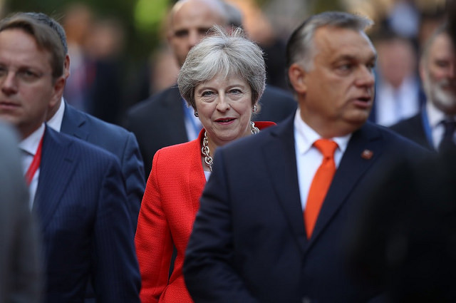 44786220782_dbda691989_z