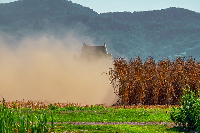 agriculture-3680965_640