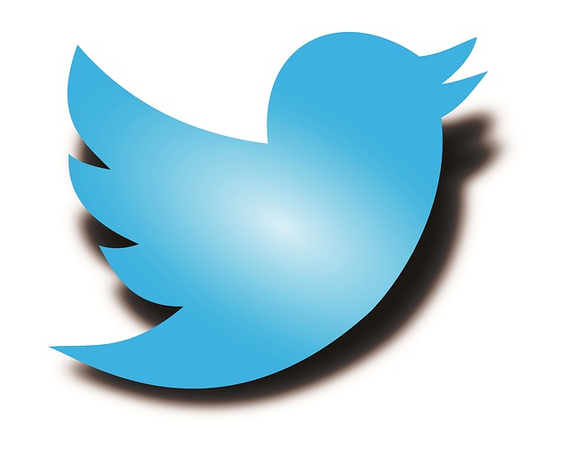 twitter-logo-1788039_640