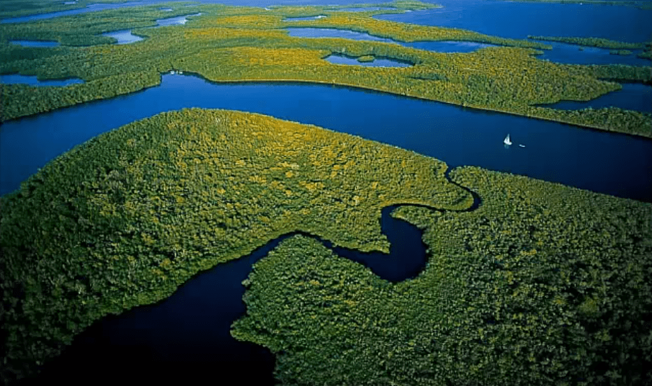AMAZONAS