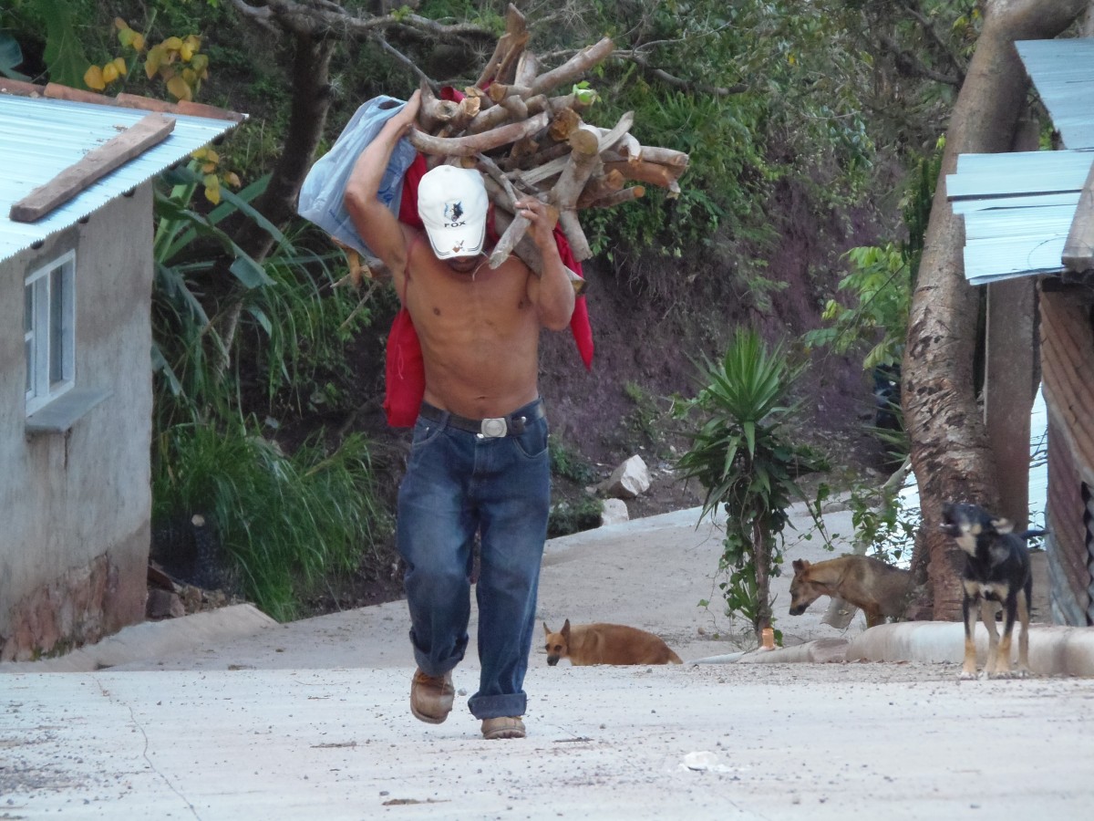 work_poverty_honduras_portrait_workers_worker_life_peasant_crops-550818