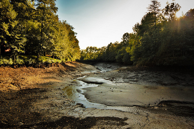 14952254853_0fee21cfa1_z