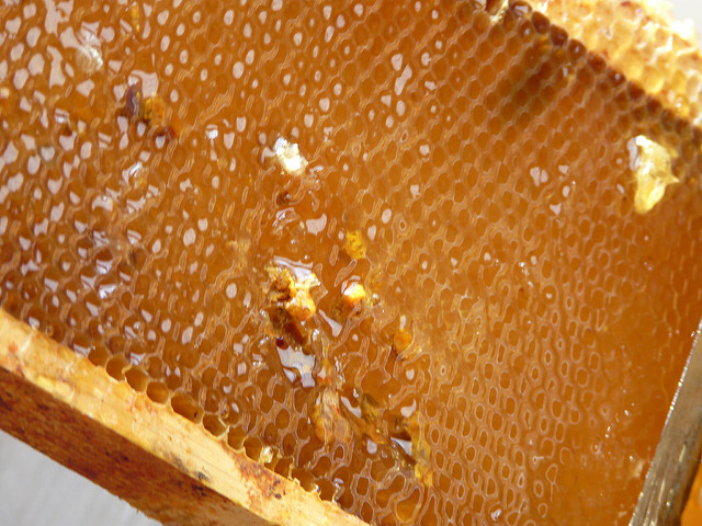 2704199440_a04a190b26_z