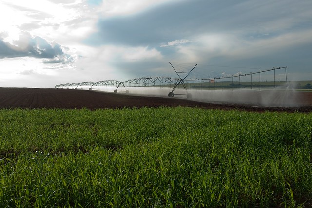 5962437101_f6fb8f3885_z