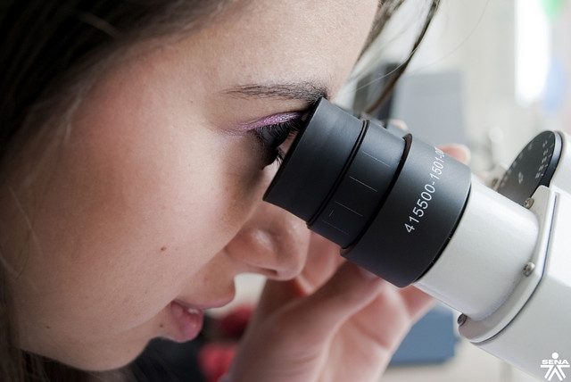 6241712518_7fac97fc9a_z