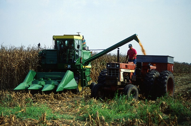 corn-harvest-1502651946axA