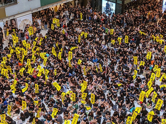 48464189857_9e0549f546_z