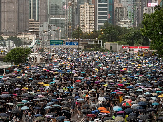 48569085102_a29129a845_z