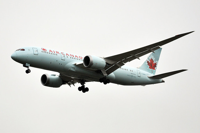 48647855416_52c40e2cc7_z