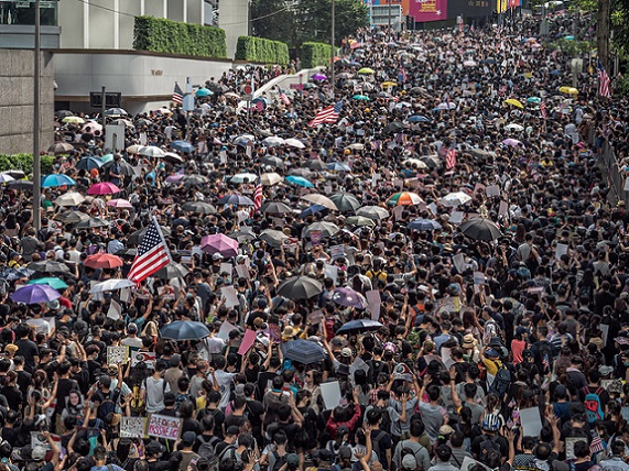 48699536068_1e9b54d932_z