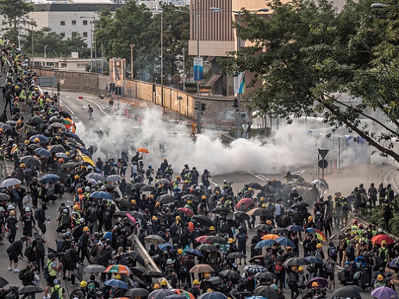 48743651898_16e8acd442_z