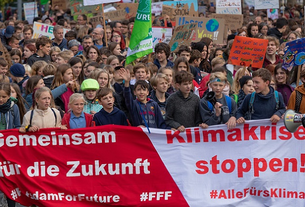 48765962513_882176c44f_z