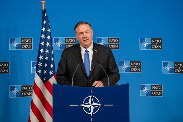 49096684652_86932c5964_c