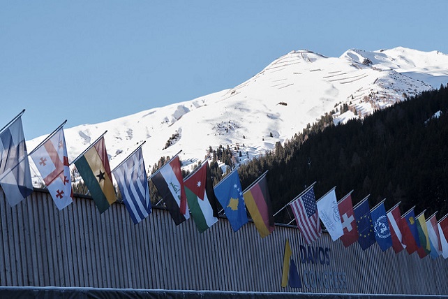 49435053821_a36db82ed2_c