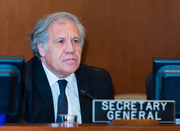 49652379438_1edd461b2c_c