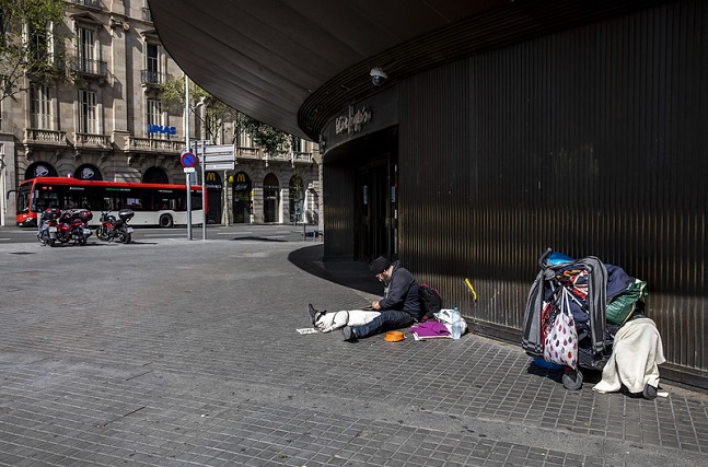 49748943313_7e677ac27e_c