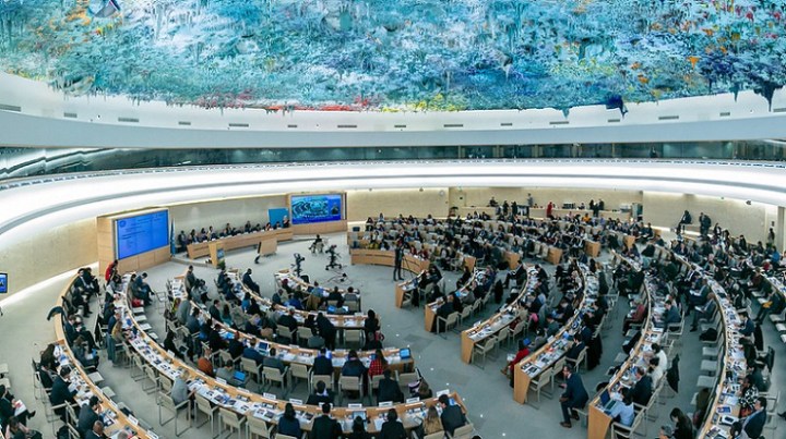 49582635938_a6d563ccab_c