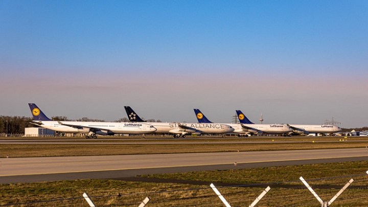 49722908773_e26e6d7fec_c