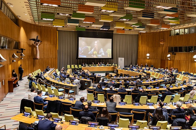 49569463456_8e95f3ba57_c