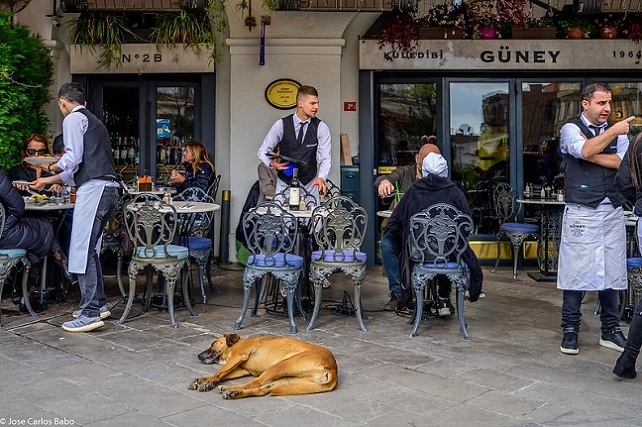 49658803897_5ff06d0bbb_c