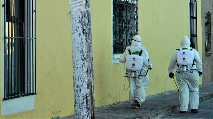 49787904848_01604babdc_c