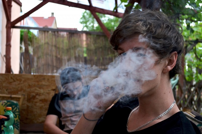 weed_smoke_drug_marijuana_joint_ganja_grass_marihuana-711329