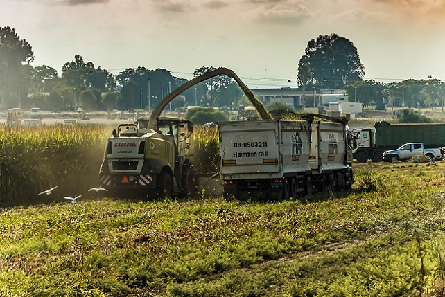 49617881156_d29d9f24e1_c