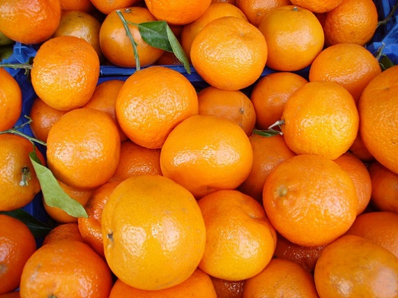 oranges_food_fruit_vitamins_citrus_fruit_fruits_fruity_tropical-1159647