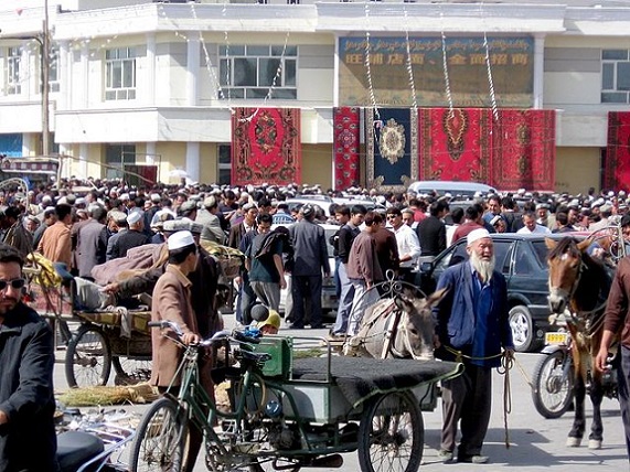 50375802637_b4cf4e7eac_c