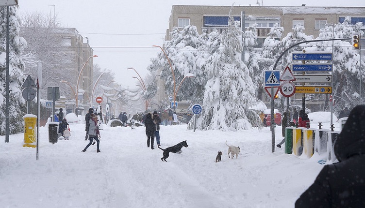 50375802637_b4cf4e7eac_c