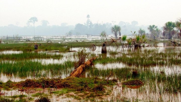 50375802637_b4cf4e7eac_c