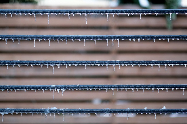 50375802637_b4cf4e7eac_c