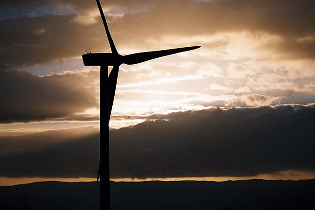 50375802637_b4cf4e7eac_c