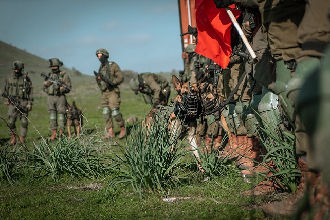 50375802637_b4cf4e7eac_c