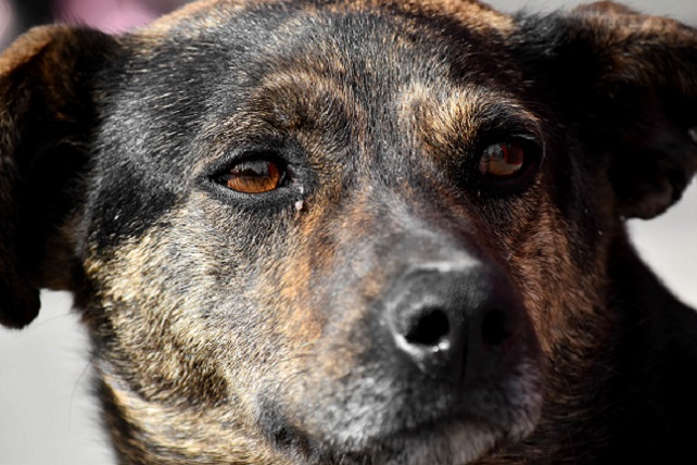 50375802637_b4cf4e7eac_c