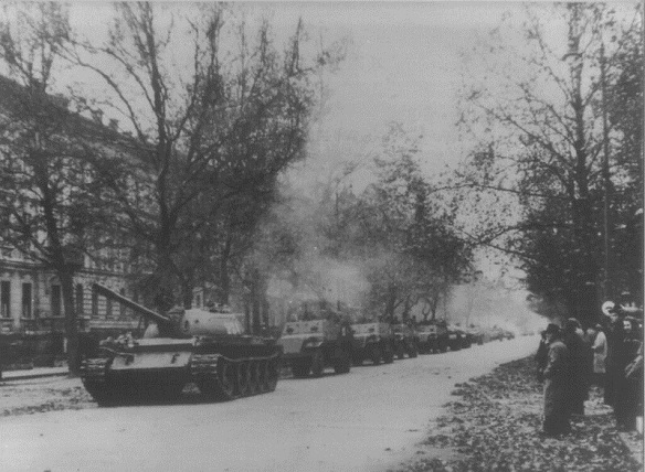 50375802637_b4cf4e7eac_c