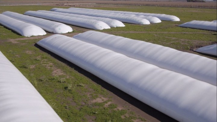 50375802637_b4cf4e7eac_c