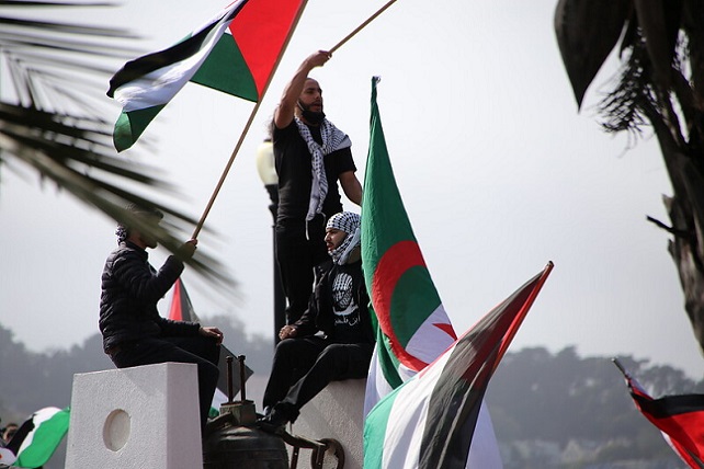 50375802637_b4cf4e7eac_c