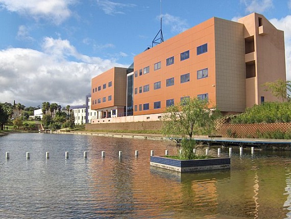 50375802637_b4cf4e7eac_c