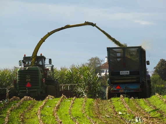 50375802637_b4cf4e7eac_c