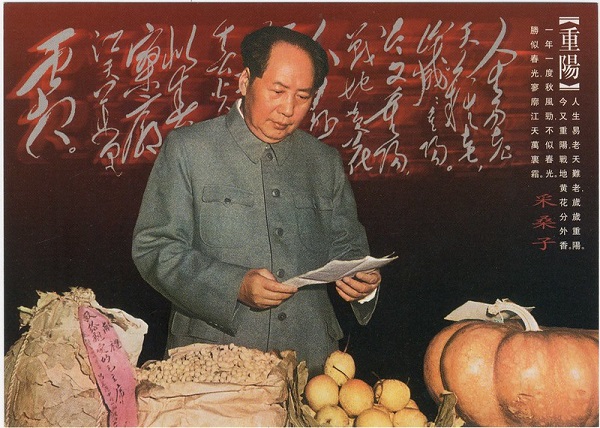 50375802637_b4cf4e7eac_c