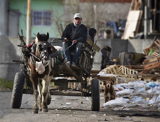 50375802637_b4cf4e7eac_c