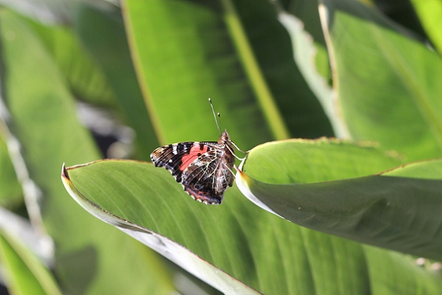 50375802637_b4cf4e7eac_c